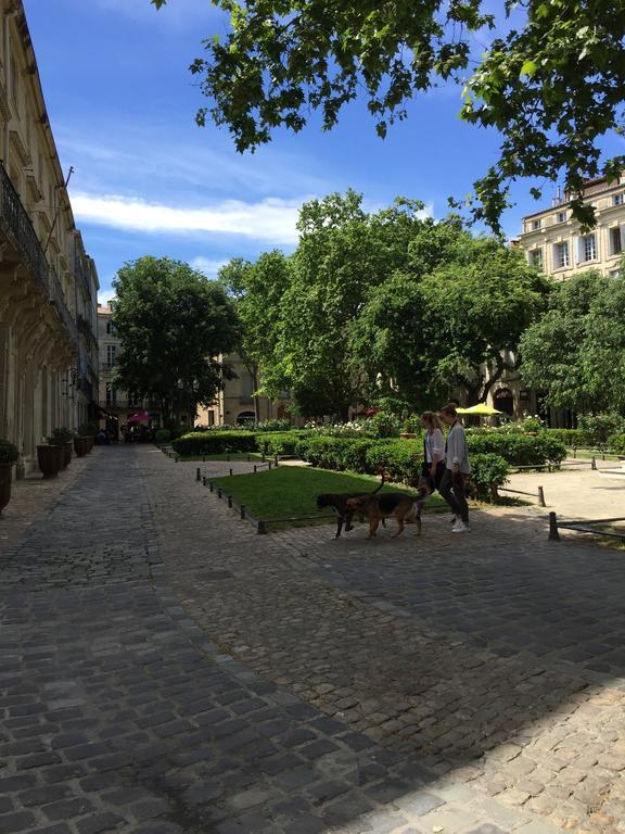 Appartement Vieille Intendance Montpellier Exteriér fotografie
